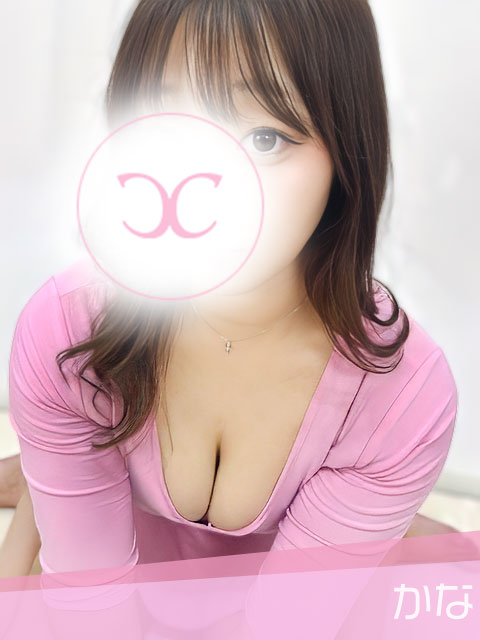 写真の説明