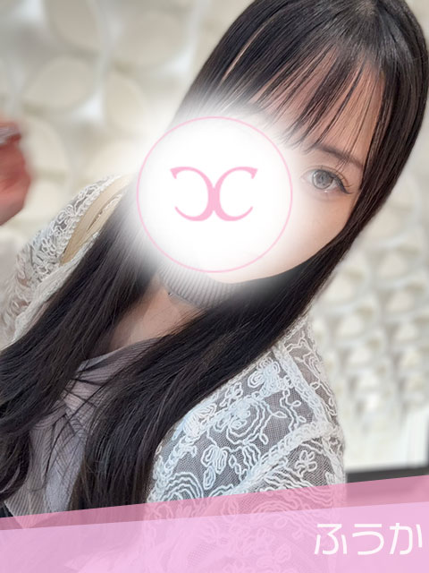 写真の説明